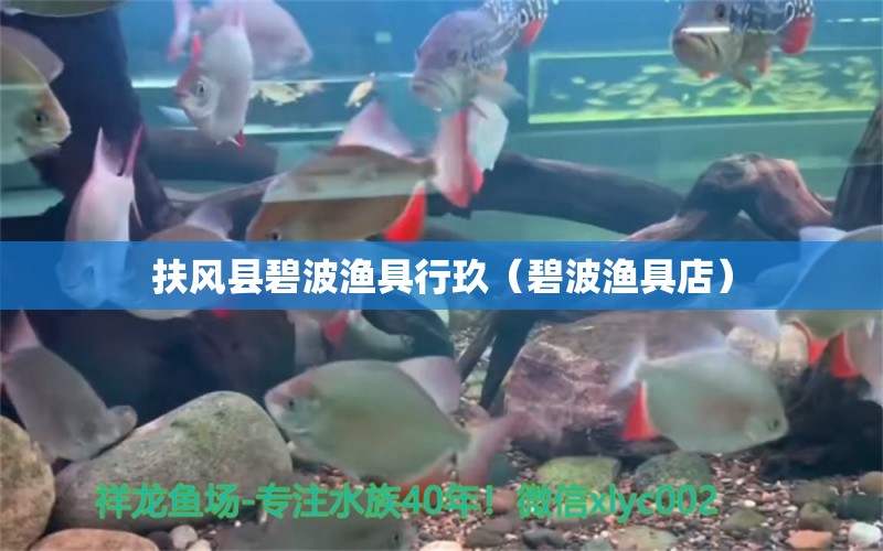 扶风县碧波渔具行玖（碧波渔具店） 全国水族馆企业名录