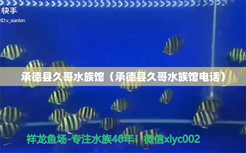 承德县久哥水族馆（承德县久哥水族馆电话） 全国水族馆企业名录