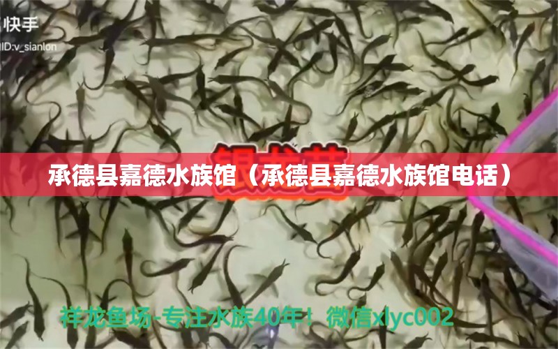 承德县嘉德水族馆（承德县嘉德水族馆电话） 全国水族馆企业名录