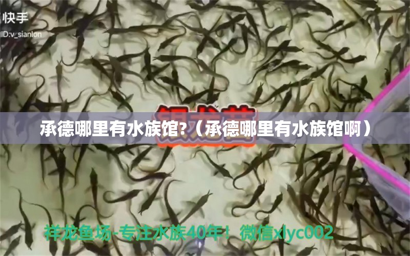 承德哪里有水族馆?（承德哪里有水族馆啊）