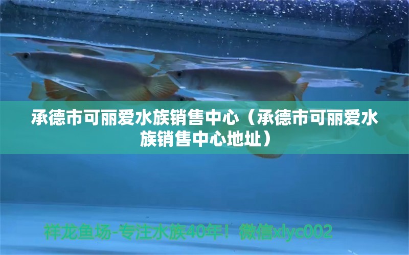 承德市可丽爱水族销售中心（承德市可丽爱水族销售中心地址）