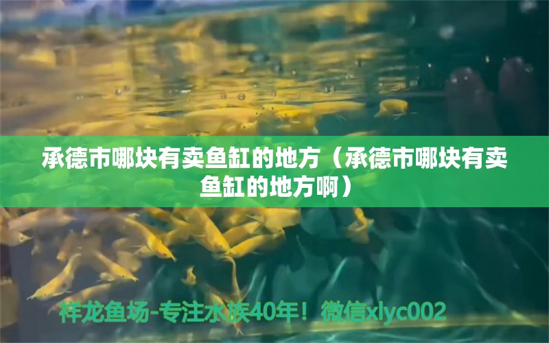 承德市哪块有卖鱼缸的地方（承德市哪块有卖鱼缸的地方啊） 其他品牌鱼缸