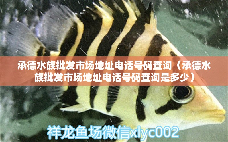 承德水族批发市场地址电话号码查询（承德水族批发市场地址电话号码查询是多少）