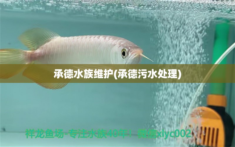 承德水族维护(承德污水处理)