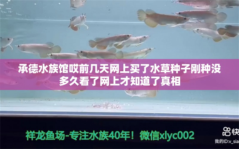 承德水族馆哎前几天网上买了水草种子刚种没多久看了网上才知道了真相