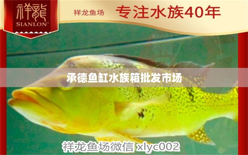 承德鱼缸水族箱批发市场