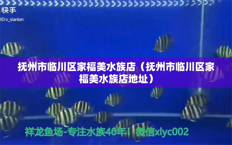 抚州市临川区家福美水族店（抚州市临川区家福美水族店地址）