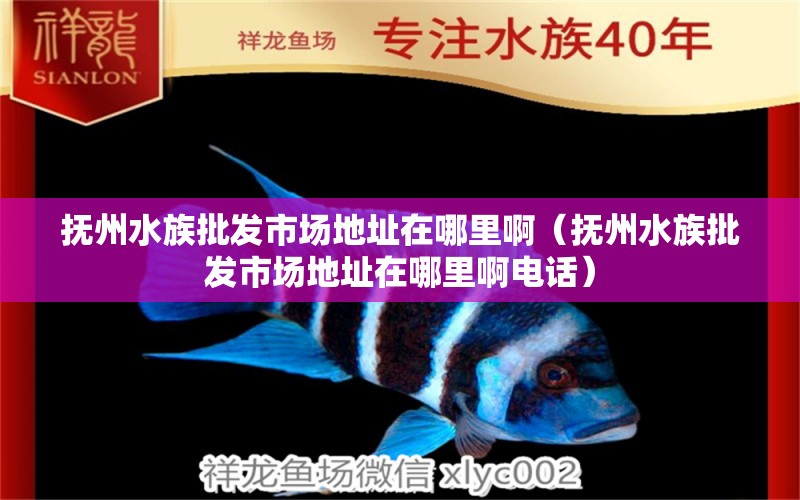 抚州水族批发市场地址在哪里啊（抚州水族批发市场地址在哪里啊电话）