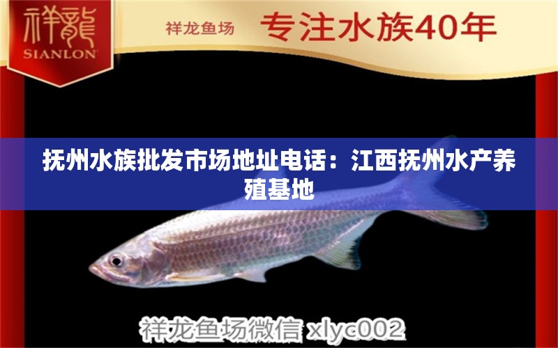 抚州水族批发市场地址电话：江西抚州水产养殖基地