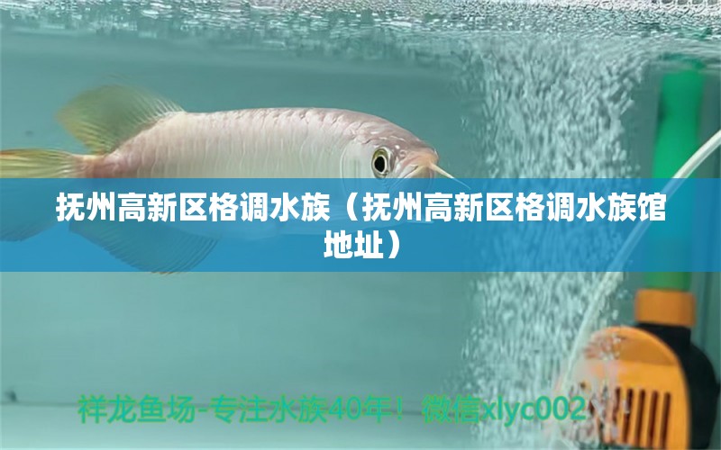 抚州高新区格调水族（抚州高新区格调水族馆地址） 全国水族馆企业名录