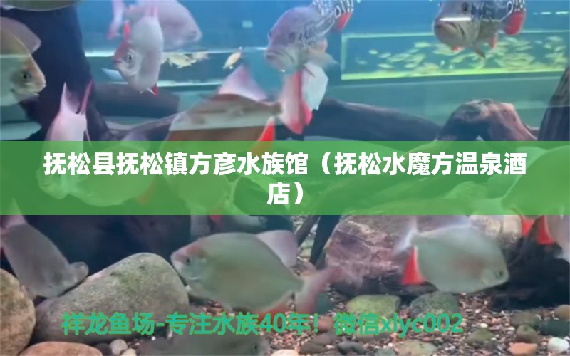 抚松县抚松镇方彦水族馆（抚松水魔方温泉酒店）