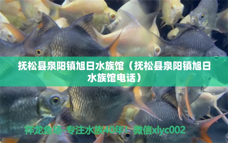 抚松县泉阳镇旭日水族馆（抚松县泉阳镇旭日水族馆电话） 全国水族馆企业名录