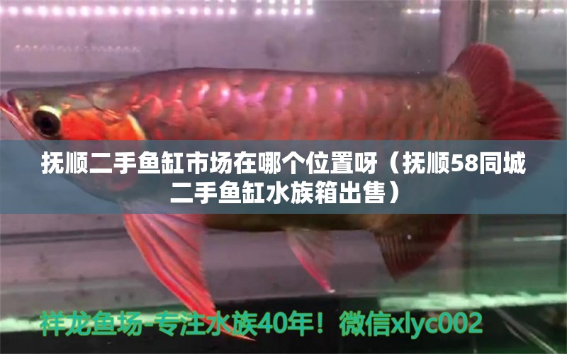 抚顺二手鱼缸市场在哪个位置呀（抚顺58同城二手鱼缸水族箱出售） 鱼缸/水族箱