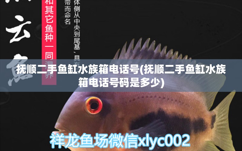 抚顺二手鱼缸水族箱电话号(抚顺二手鱼缸水族箱电话号码是多少) 鱼缸/水族箱