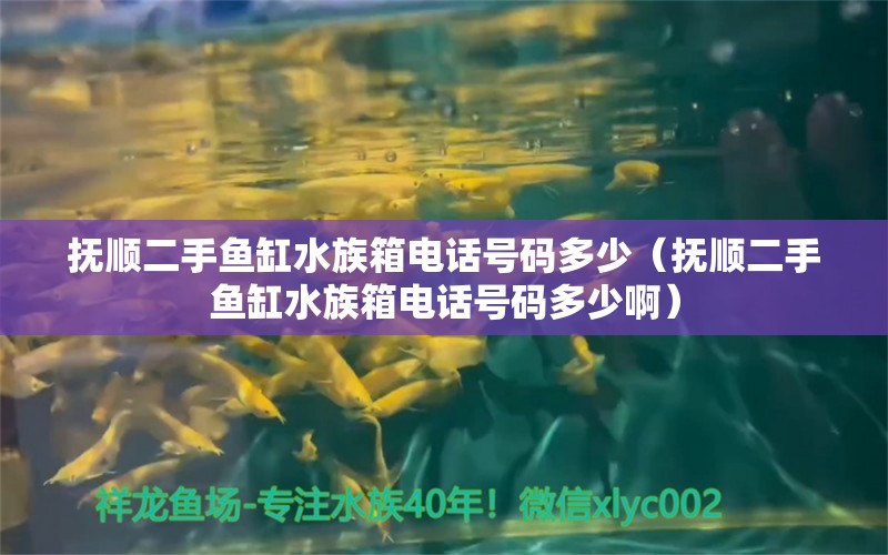 抚顺二手鱼缸水族箱电话号码多少（抚顺二手鱼缸水族箱电话号码多少啊）