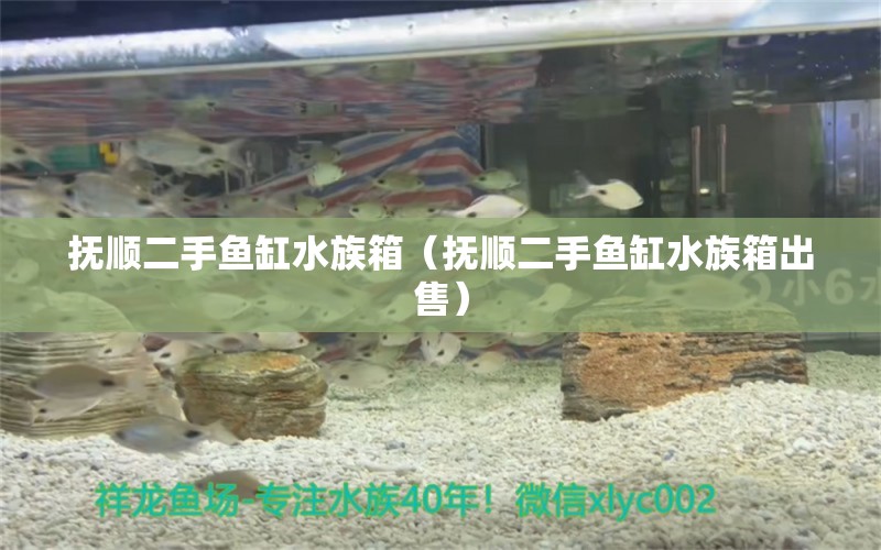 抚顺二手鱼缸水族箱（抚顺二手鱼缸水族箱出售） 鱼缸/水族箱