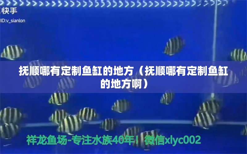 抚顺哪有定制鱼缸的地方（抚顺哪有定制鱼缸的地方啊） 其他品牌鱼缸