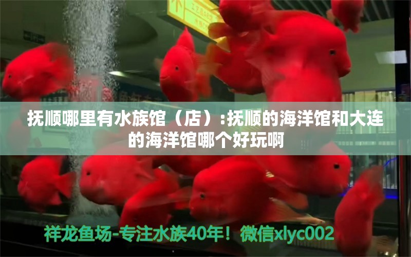 抚顺哪里有水族馆（店）:抚顺的海洋馆和大连的海洋馆哪个好玩啊