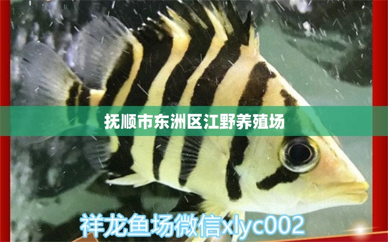 抚顺市东洲区江野养殖场 全国水族馆企业名录 第1张