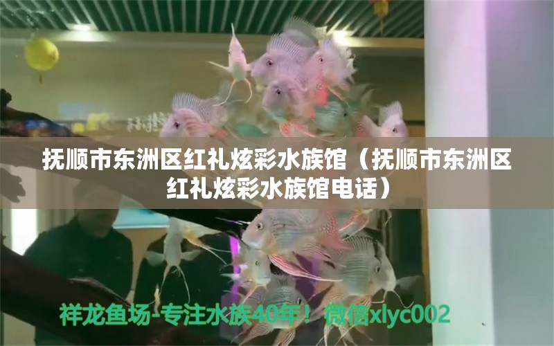 抚顺市东洲区红礼炫彩水族馆（抚顺市东洲区红礼炫彩水族馆电话）