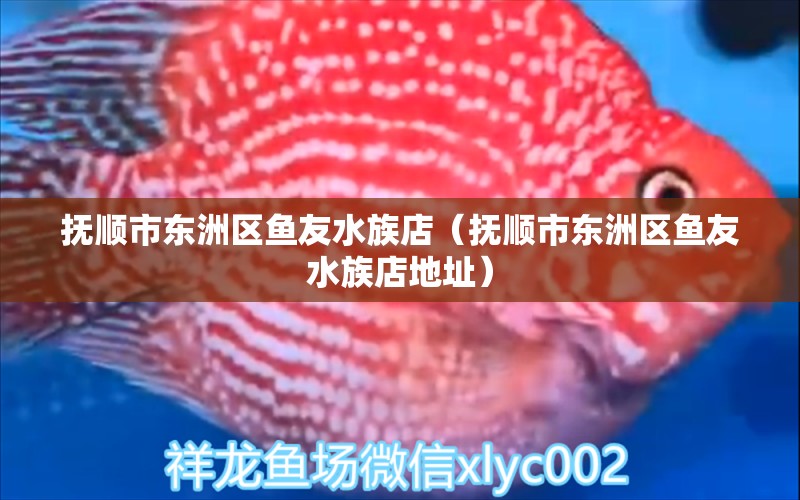 抚顺市东洲区鱼友水族店（抚顺市东洲区鱼友水族店地址） 全国水族馆企业名录