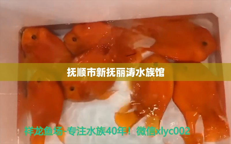 抚顺市新抚丽涛水族馆