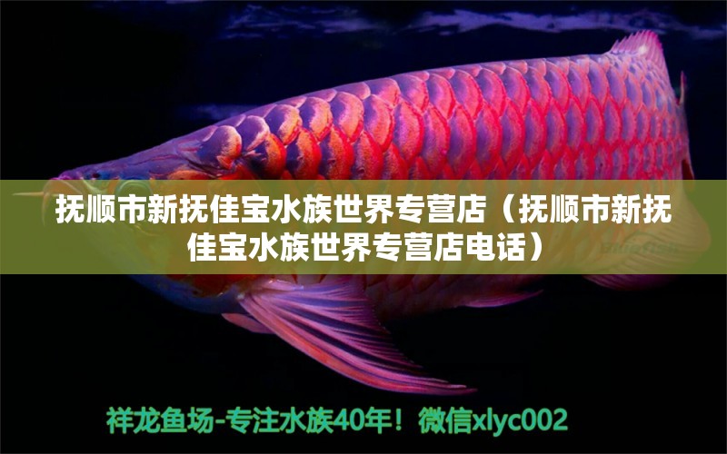 抚顺市新抚佳宝水族世界专营店（抚顺市新抚佳宝水族世界专营店电话）