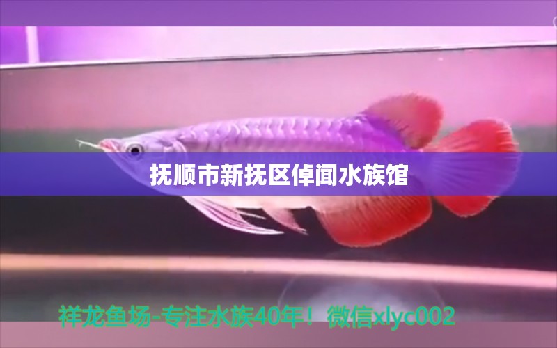 抚顺市新抚区倬闻水族馆 全国水族馆企业名录