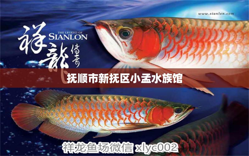 抚顺市新抚区小孟水族馆