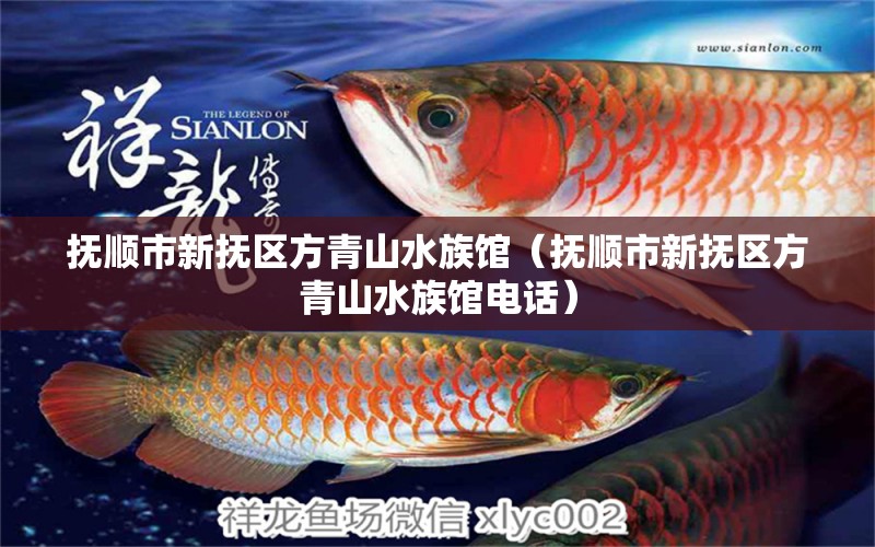 抚顺市新抚区方青山水族馆（抚顺市新抚区方青山水族馆电话）