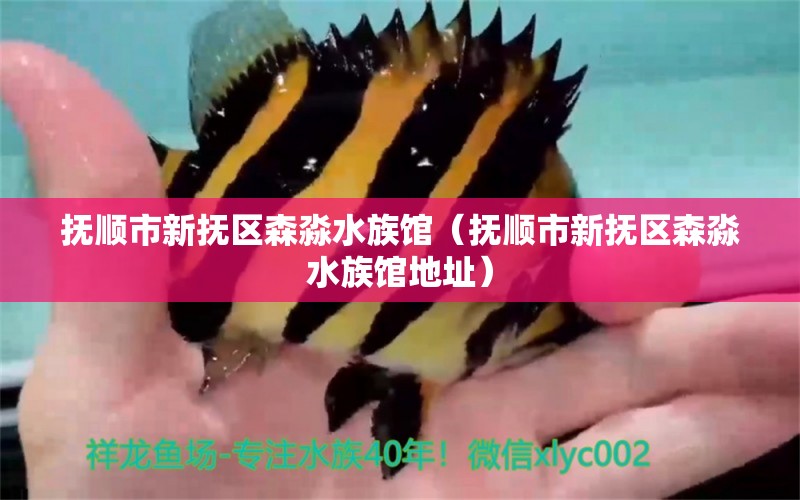 抚顺市新抚区森淼水族馆（抚顺市新抚区森淼水族馆地址） 全国水族馆企业名录