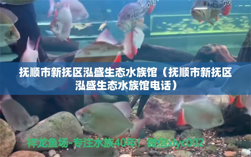 抚顺市新抚区泓盛生态水族馆（抚顺市新抚区泓盛生态水族馆电话）