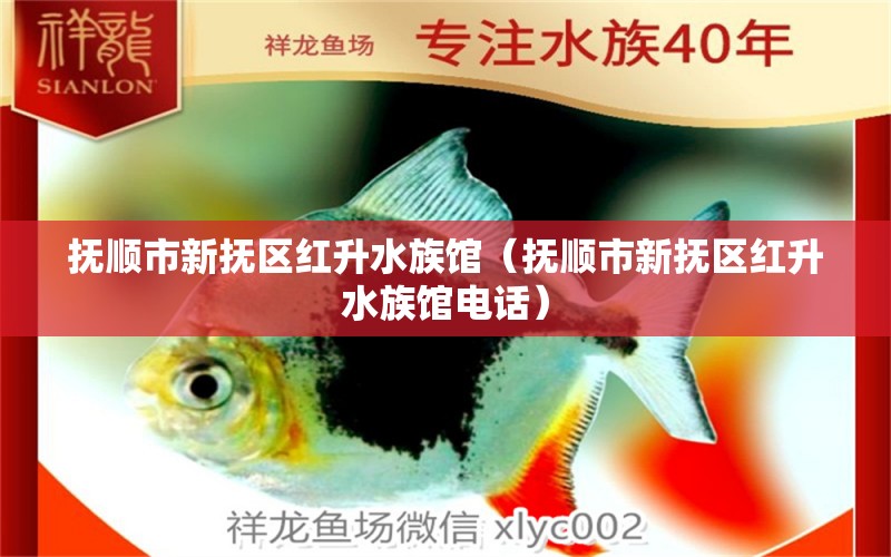 抚顺市新抚区红升水族馆（抚顺市新抚区红升水族馆电话）