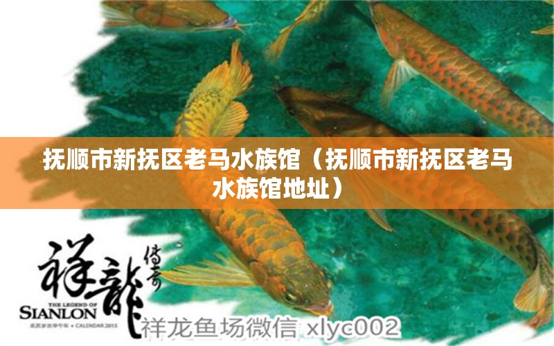 抚顺市新抚区老马水族馆（抚顺市新抚区老马水族馆地址）