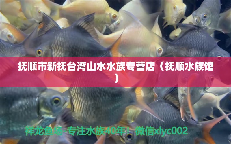 抚顺市新抚台湾山水水族专营店（抚顺水族馆） 全国水族馆企业名录