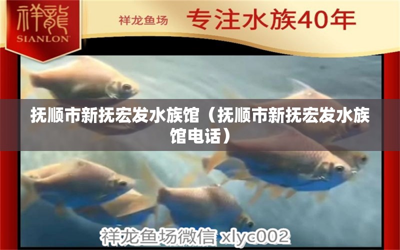 抚顺市新抚宏发水族馆（抚顺市新抚宏发水族馆电话）