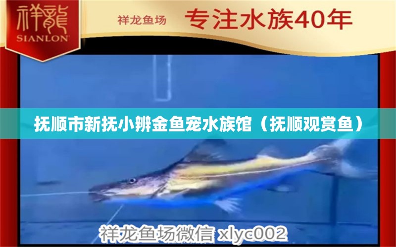 抚顺市新抚小辨金鱼宠水族馆（抚顺观赏鱼） 全国水族馆企业名录