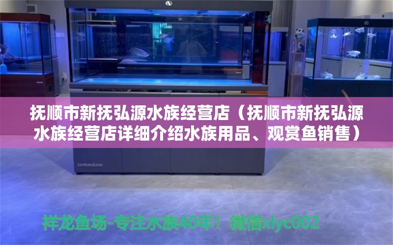 抚顺市新抚弘源水族经营店（抚顺市新抚弘源水族经营店详细介绍水族用品、观赏鱼销售） 全国观赏鱼市场 第2张