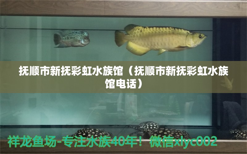 抚顺市新抚彩虹水族馆（抚顺市新抚彩虹水族馆电话）