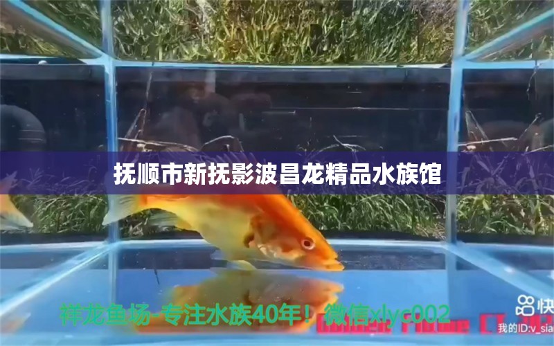 抚顺市新抚影波昌龙精品水族馆