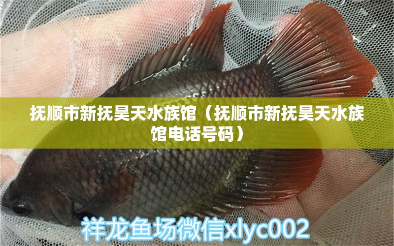 抚顺市新抚昊天水族馆（抚顺市新抚昊天水族馆电话号码）