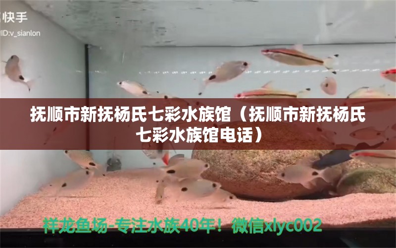 抚顺市新抚杨氏七彩水族馆（抚顺市新抚杨氏七彩水族馆电话）