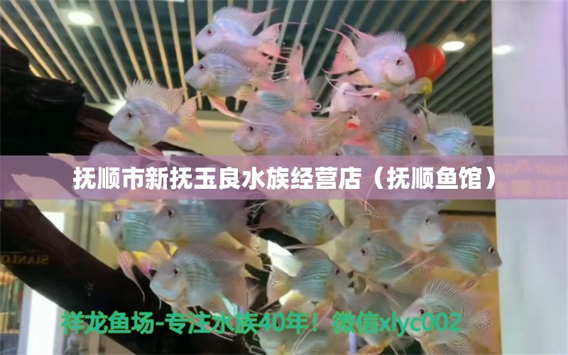 抚顺市新抚玉良水族经营店（抚顺鱼馆） 全国水族馆企业名录