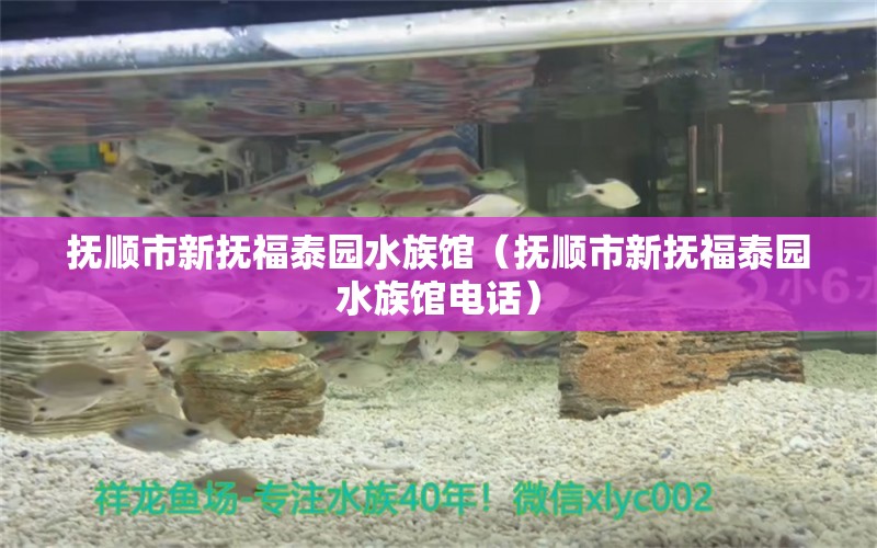 抚顺市新抚福泰园水族馆（抚顺市新抚福泰园水族馆电话） 全国水族馆企业名录