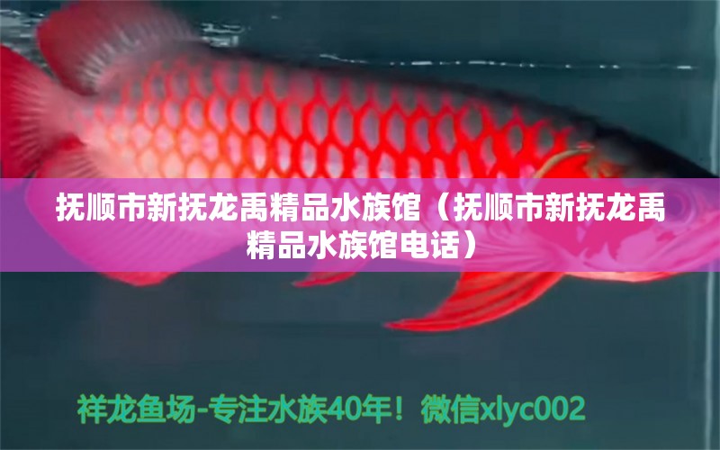 抚顺市新抚龙禹精品水族馆（抚顺市新抚龙禹精品水族馆电话）