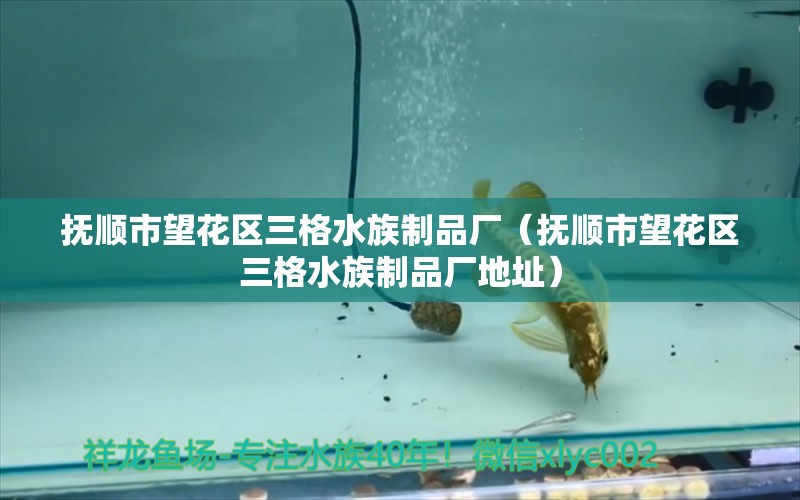 抚顺市望花区三格水族制品厂（抚顺市望花区三格水族制品厂地址）