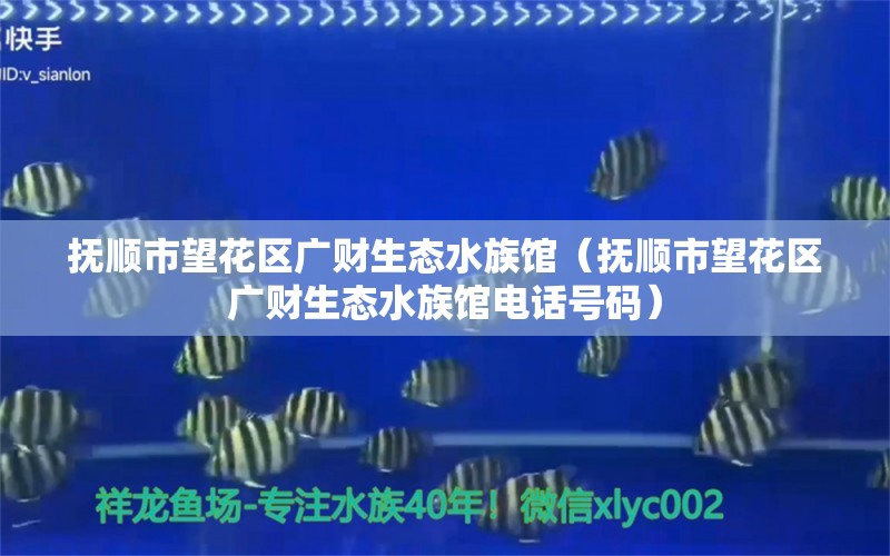 抚顺市望花区广财生态水族馆（抚顺市望花区广财生态水族馆电话号码）