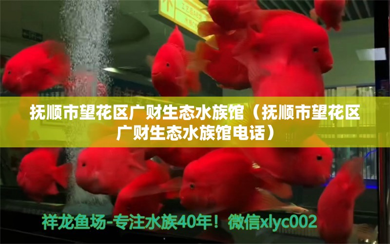 抚顺市望花区广财生态水族馆（抚顺市望花区广财生态水族馆电话） 全国水族馆企业名录