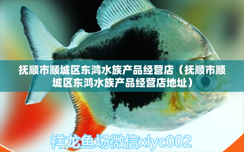 抚顺市顺城区东鸿水族产品经营店（抚顺市顺城区东鸿水族产品经营店地址）