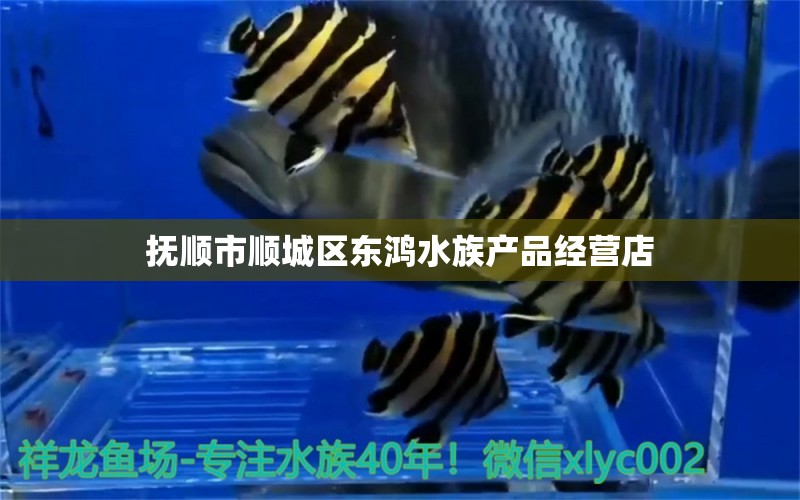 抚顺市顺城区东鸿水族产品经营店